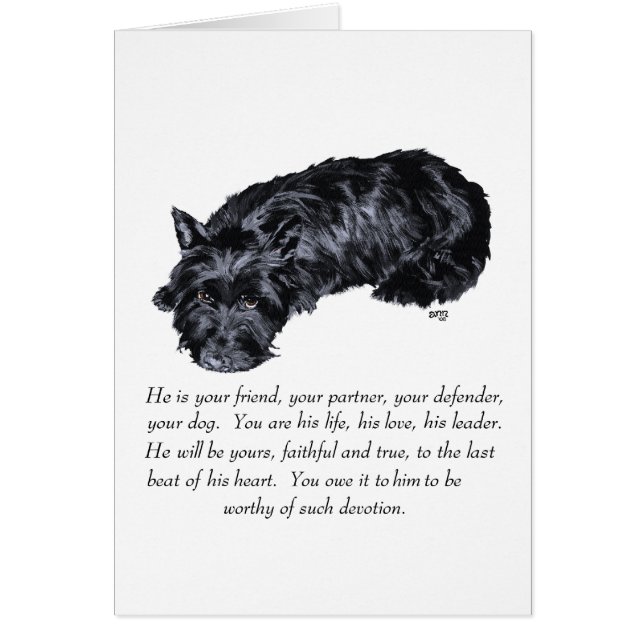 Cartão Recordações do Scottish Terrier - MACHO (Frente)