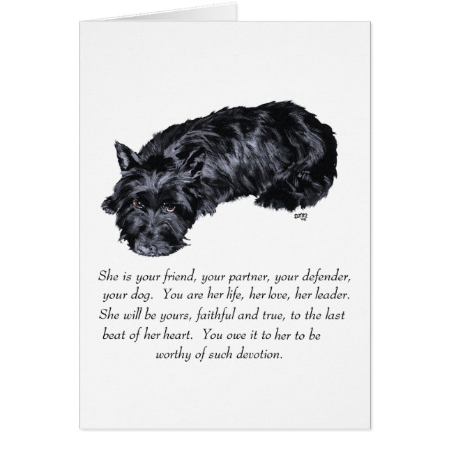 Cartão Recordo do Scottish Terrier - FÊMEA (Frente)