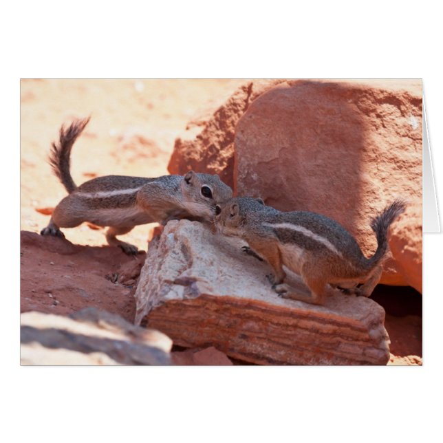 Cartão Recue o beijo (Frente Horizontal)