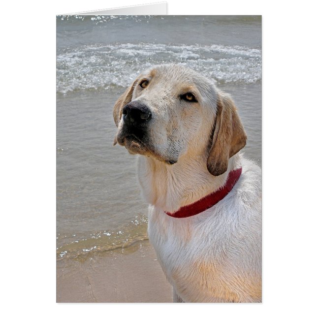 Cartão Recuperando Romance (Frente)