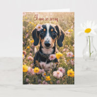 Recupere-se Sinta-se Melhor Cachorrinho Dachshund