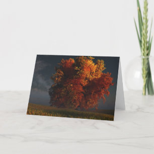 Cartão Red and Gold Greeting Card