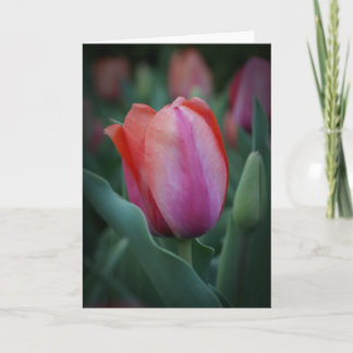Cartão Red and Pink Tulip Greeting Card