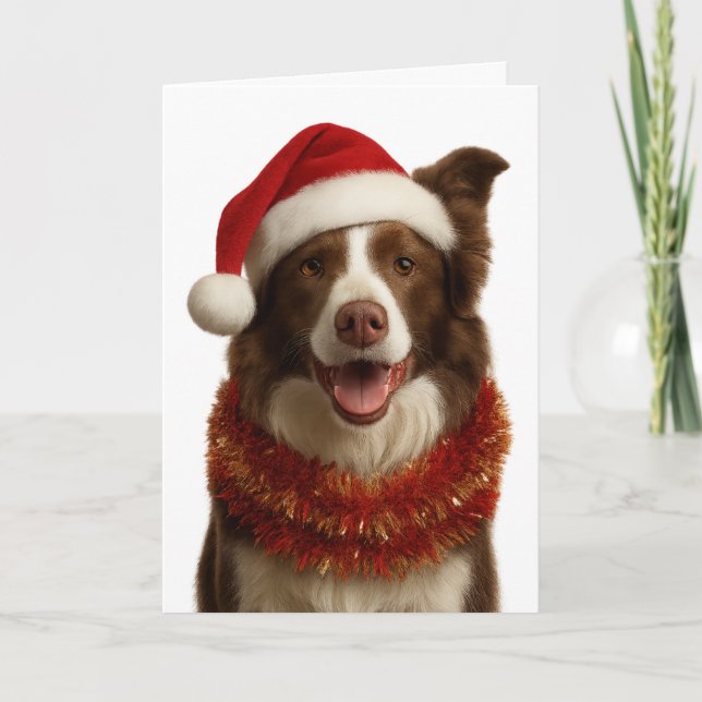 Cartão Red and white Border Collie Christmas card (Frente)
