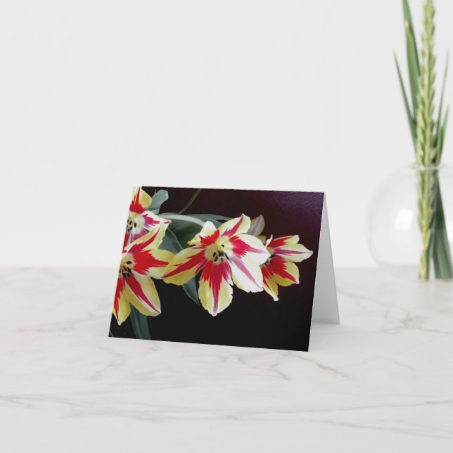 Cartão Red and Yellow Tulips Note Card (Frente)