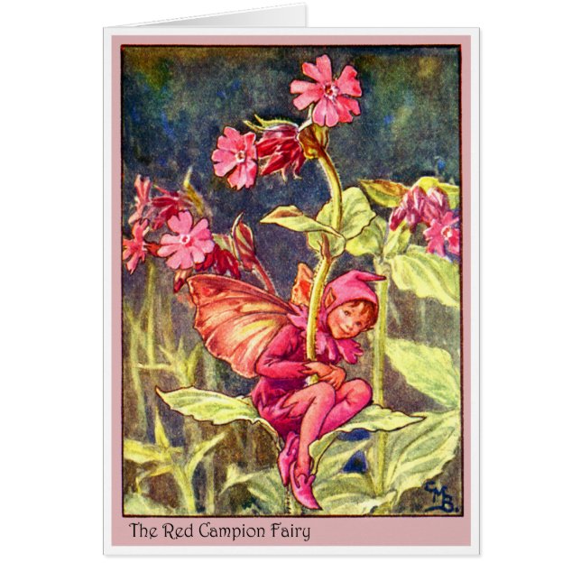 Cartão Red Campion Fairy (Frente)
