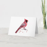 Cartão Red Cardinal Bird<br><div class="desc">Cute red cardinal! Happy Winter Holidays!</div>