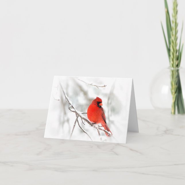 Cartão Red Cardinal (Note Cards) (Frente)
