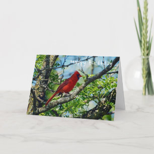 Cartão Red Cardinal  Wild Bird Photograph