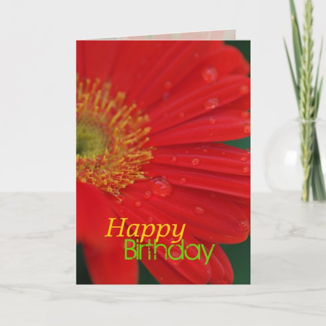 Cartão Red Daisy Happy Birthday Greeting Card (Frente)