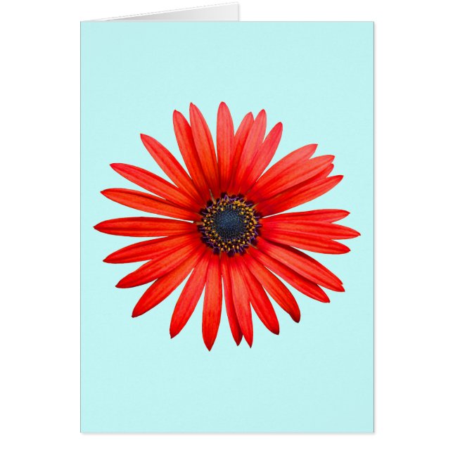 Cartão Red Devil (Frente)