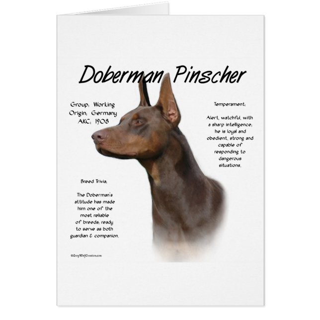 Cartão Red Doberman Histórico (Frente)