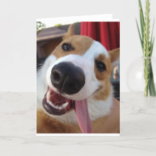 Cartão Red e White Pembroke Welsh Corgi