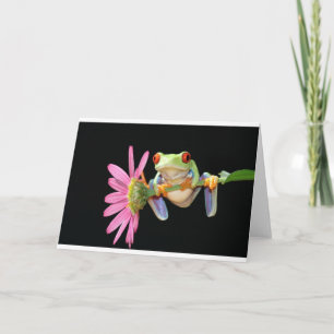 Cartão red eyed tree frog