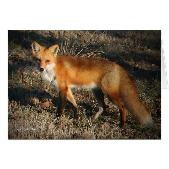 Cartão Red Fox (Frente Horizontal)