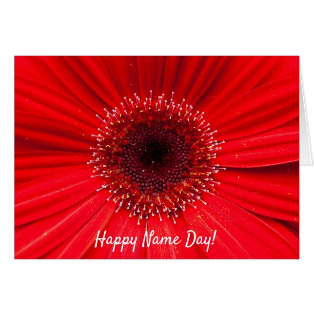 Cartão Red Gerbera Daisy for Name Day (Frente Horizontal)