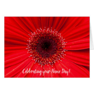 Cartão Red Gerbera Daisy for Name Day