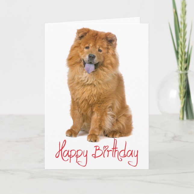 Cartão Red Happy Birday Chow Chow Brown Puppy Dog (Frente)