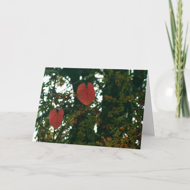 Cartão Red Heart Leaves Greeting Card (Frente)