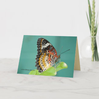 Cartão Red Lacewing Buterfly
