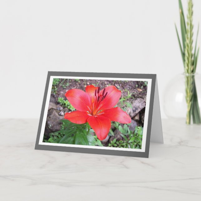 Cartão Red Lilie 3 (Frente)