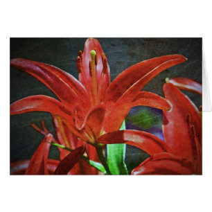 Cartão Red Lily texturizada por Shirley Taylor