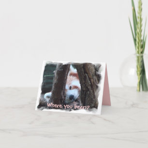 Cartão Red Panda notecard: "Where you been? I miss you!"