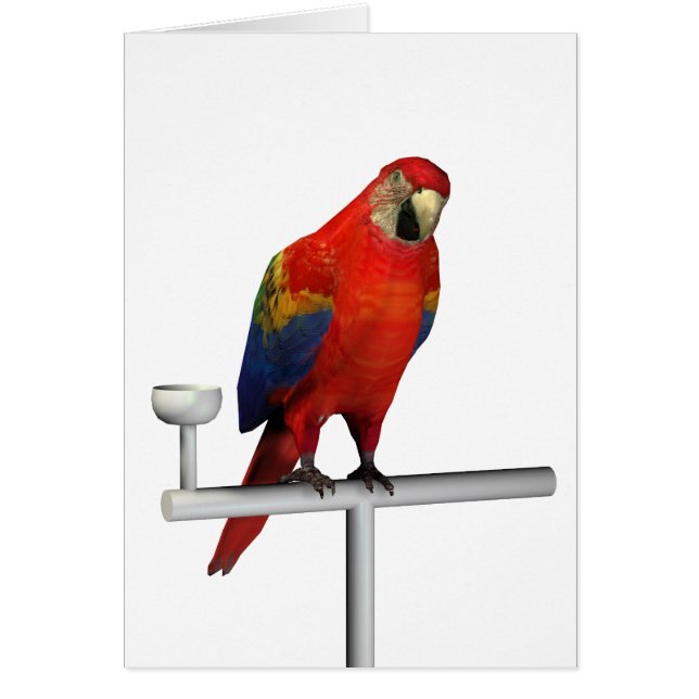 Cartão Red Parrot Scarlet Macaw (Frente)