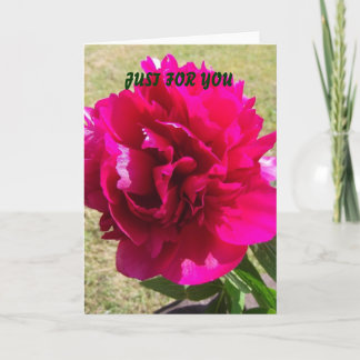 Cartão Red Peony any occasion greeting card