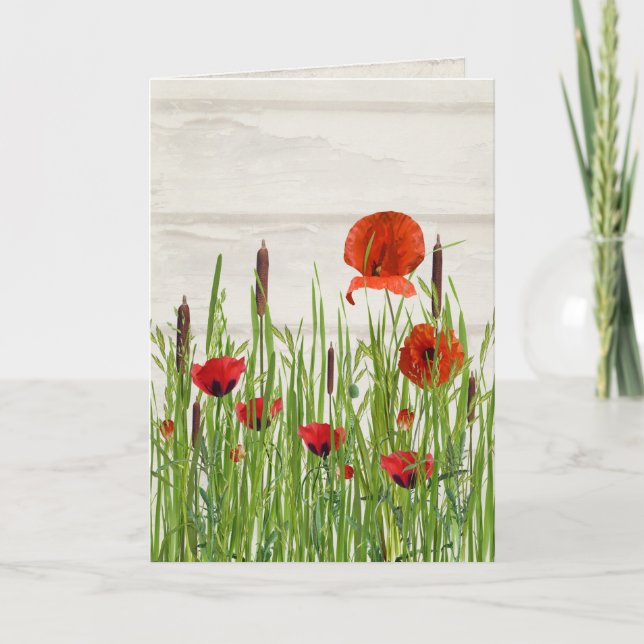 Cartão red poppy flower and cattails (Frente)
