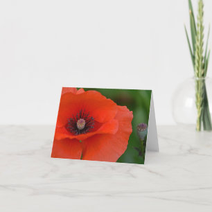 Cartão Red Poppy Notecard