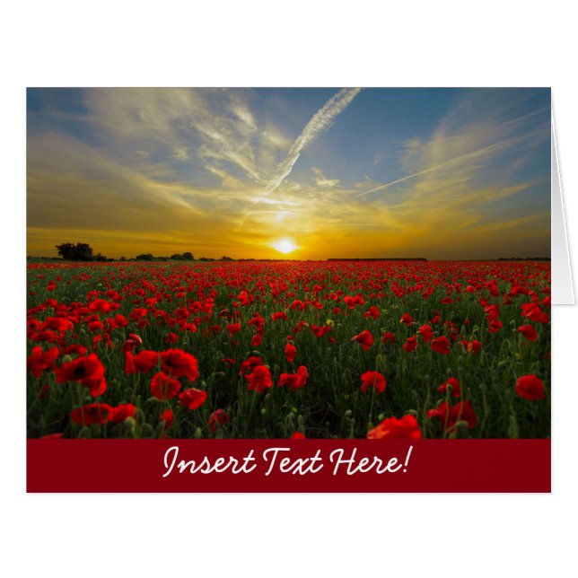 Cartão Red Poppy Sunset (Frente horizontal)