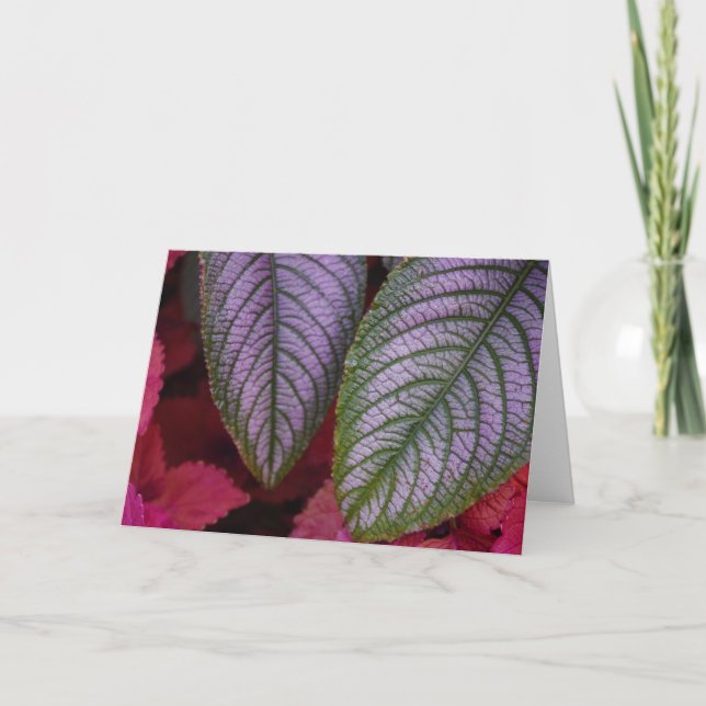 Cartão Red Purple Flower Note Card (Frente)