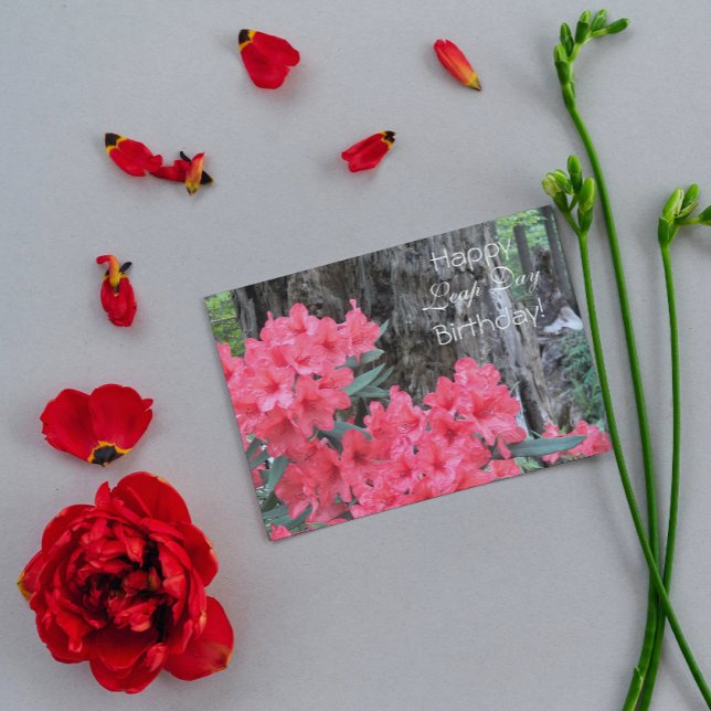 Cartão Red Rhododendrons Dia Floral do Salto Aniversário (In Situ)