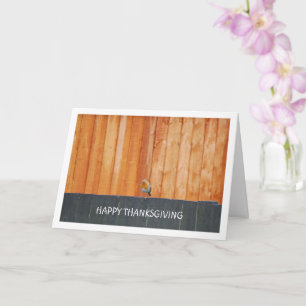 Cartão Red Robin On Fence