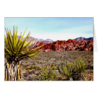Red Rock Conservation Area Las Vegas