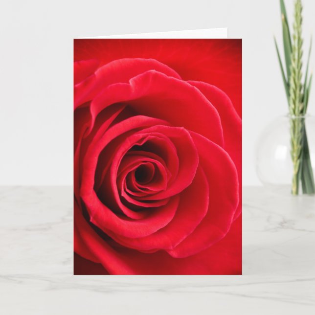 Cartão Red rose folded card (Frente)