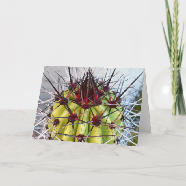 Cartão Red Spines Products (Frente)