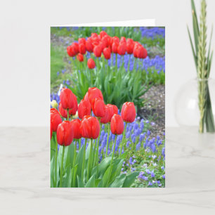 Cartão Red spring tulips floral print greeting card
