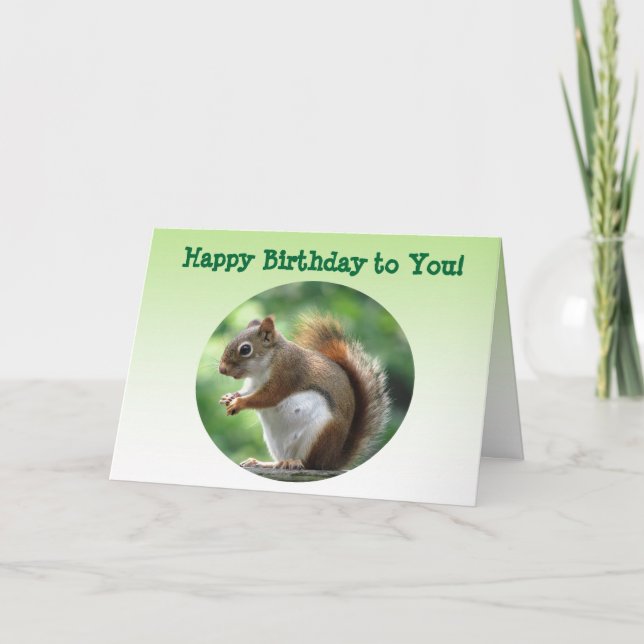 Cartão Red Squirrel Birthday (Frente)