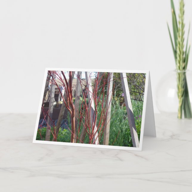 Cartão Red Sticks & White Stakes (Frente)