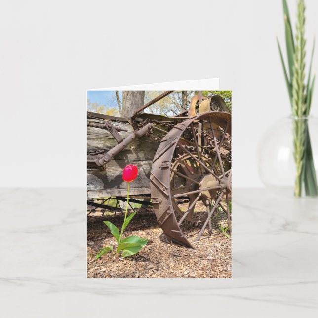 Cartão Red Tulip e Old Wagon Obrigado (Frente)