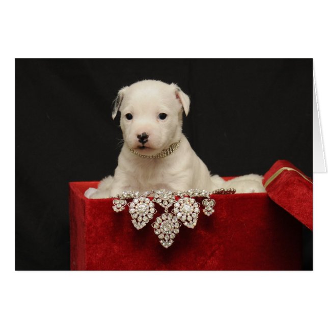 Cartão Red Velvet (Frente horizontal)