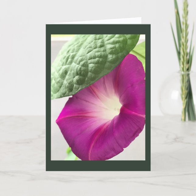 Cartão Red-Violet Morning Glory Blank (Frente)