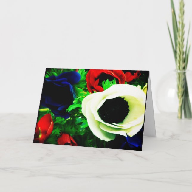Cartão Red, White, and Blue Anemone Blank Greeting Card (Frente)