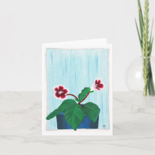 Cartão Red White Gloxinia African Violet Flower Notecards