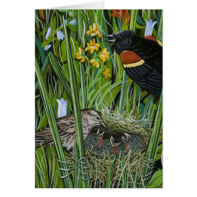 Cartão Red Wing Blackbird (Frente)