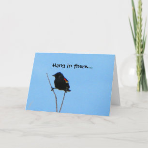 Cartão Red-winged Blackbird Get Well Card