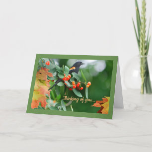 Cartão Red Winged Blackbird Greeting Card