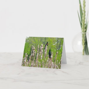 Cartão Red-Winged Blackbirds on Cattails Note Card